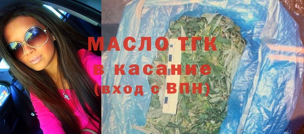 индика Абинск